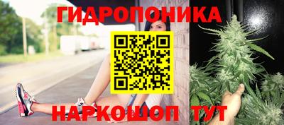 ГАЛЛЮЦИНОГЕННЫЕ ГРИБЫ Краснознаменск