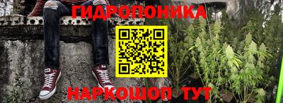 jwh Краснодар