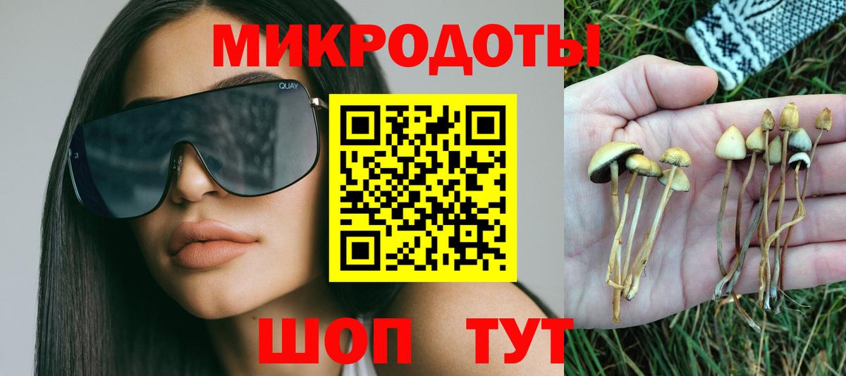 Галлюциногенные грибы прущие грибы Карачаевск