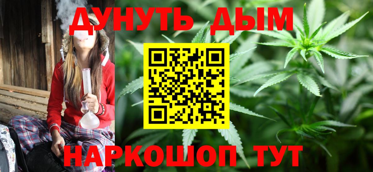 Каннабис индика Карачаевск